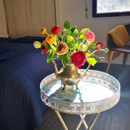 Sunny La Mata Apartament